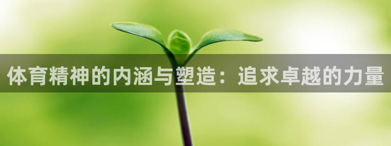 体育精神的内涵与塑造：追求卓越的力量